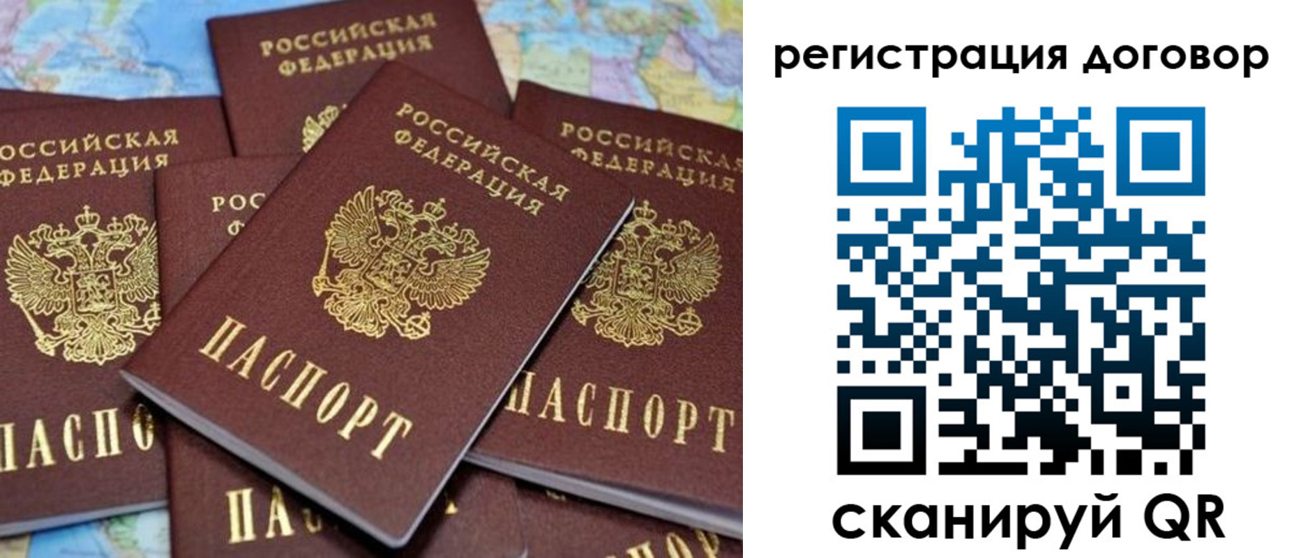 прописка гарантия в Мончегорске